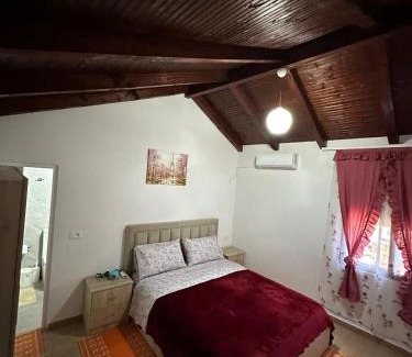 Sakës Apartment | Villa Zefi Rrencc
