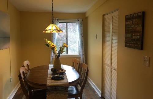 Weirs Beach Apartment | Village at Winnipesaukee 59 Treetop #432