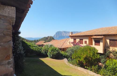 Capo Coda Cavallo Apartment | Villaggio Est a Capo Coda Cavallo San Teodoro