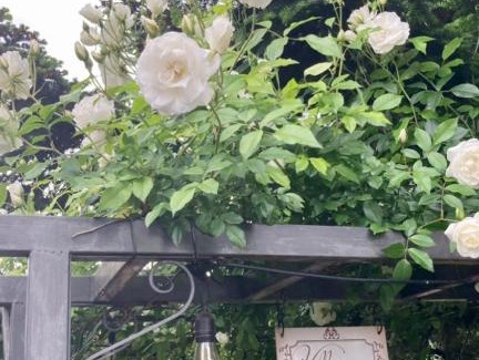 Capua Bed & Breakfast | villagianna