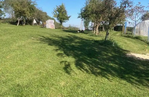 Lommatzsch House | VillaHarmony is waiting for families with dogs!