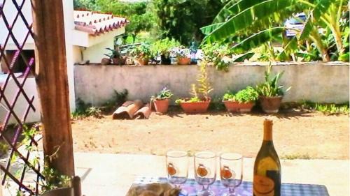 Tertenia Apartment | VILLALoddo2 sud Tertenia