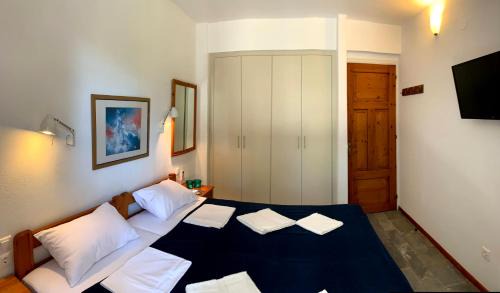 Agia Paraskevi Apartment | Villas Alexandra Skiathos