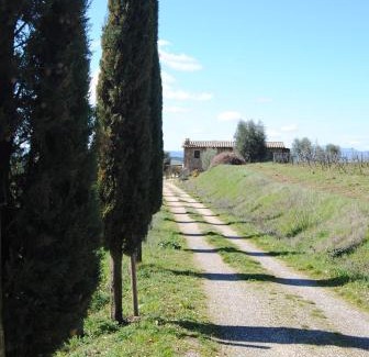 Montalcino Apartment | Villetta Caprili