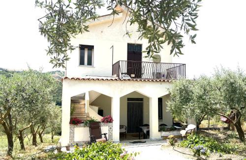 Prizzi House | Villetta con Oliveto CFG
