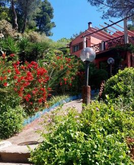 Rio nell'Elba Apartment | villetta dei fichi d'India