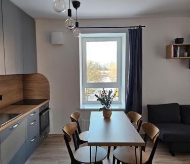 Vilnius city municipality Apartment | Vilniaus apartamentai