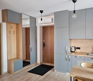 Vilnius city municipality Apartment | Vilniaus apartamentai
