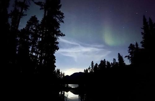 Jade City Other | Vines and Puppies Glamping Hideaway