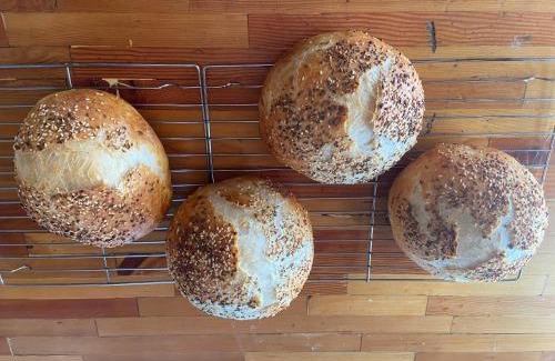 Jade City Other | Vines and Puppies Glamping Hideaway