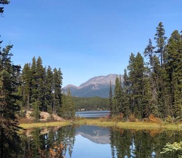 Jade City Other | Vines and Puppies Glamping Hideaway