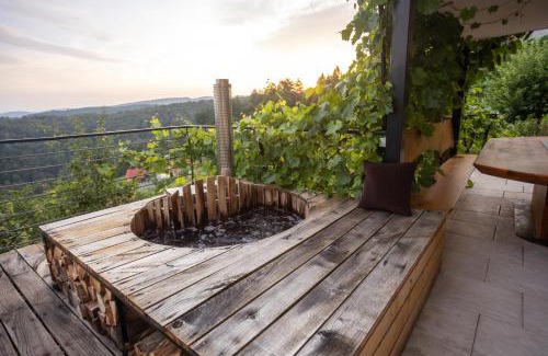Ivancna Gorica House | Vineyard cottage Sonce