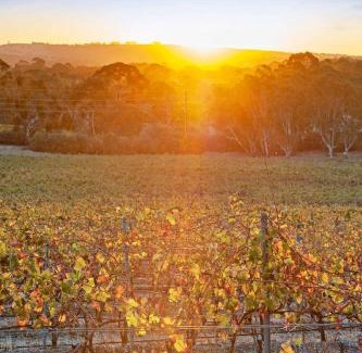 Spring Farm House | Vineyard Farmstay at Vista Fiano