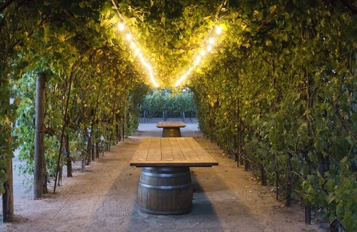 Morgan Hill Apartment | Vineyard suite located in the orchard with private entrance
