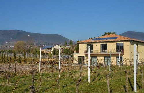Flemlingen House | Vinotel Dollt-Kern