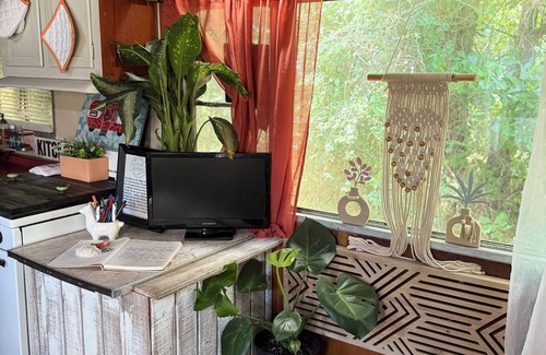 Foley Cottage | Vintage 1950’s campernThe Shack