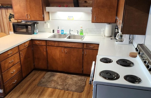 Matlock Cabin | Vintage Cabin on Lake Nahwatzel! Private dock and gorgeous views!