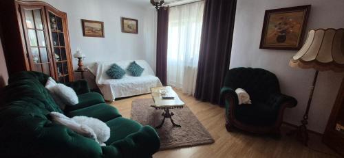 Tirgu Jiu Apartment | Vintage Central Apartament