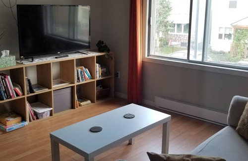 Hull Apartment | Vintage charm apartment in Old Hull!