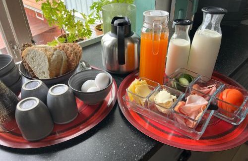 Insjon Bed & Breakfast | Vintergatans Rum