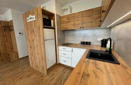 Rzeszow Apartment | Vip Apartament Wieniawskiego