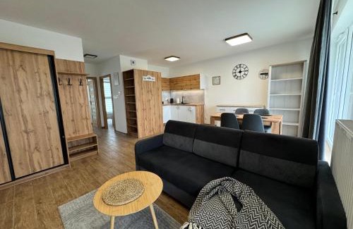 Rzeszow Apartment | Vip Apartament Wieniawskiego
