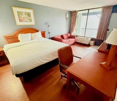 Paris Hotel | Vip inn and suites