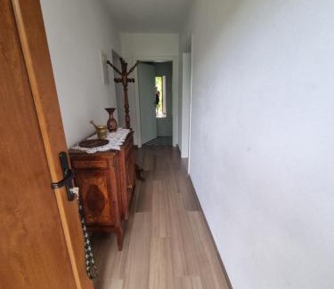 Dobravlje Apartment | Vipava Valley Stay - Apartment Miki - With Patio, Parking & Pets OK