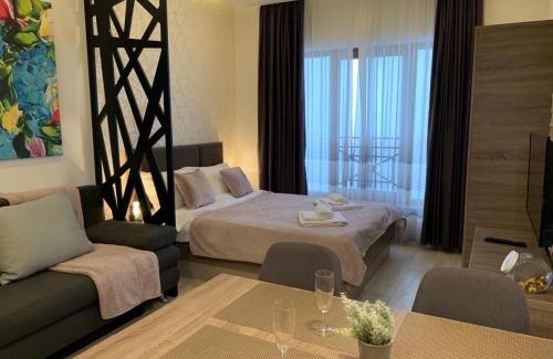 Lisina Apartment | Vista Kopaonik Milmari Studio P22