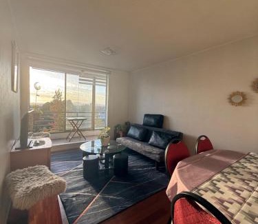 Concepcion Apartment | Vista Laguna Redonda