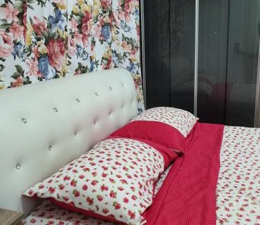 Seksyen 14 Apartment | Vista Royal Homestay