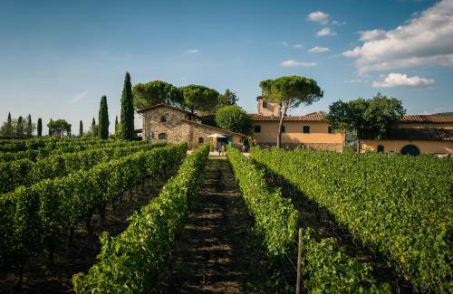 Greve in Chianti House | Viticcio