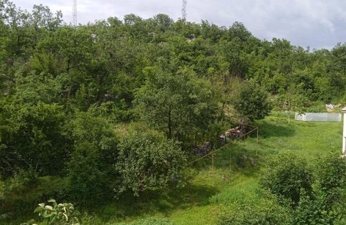 Niksic Apartment | Vlado