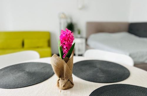 Turda Apartment | Vladstudio