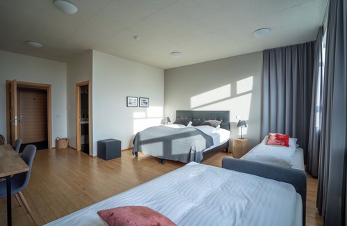 Vik I Myrdal Hotel | Volcano hotel