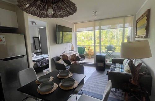 Pucon Apartment | Volcano view apartment