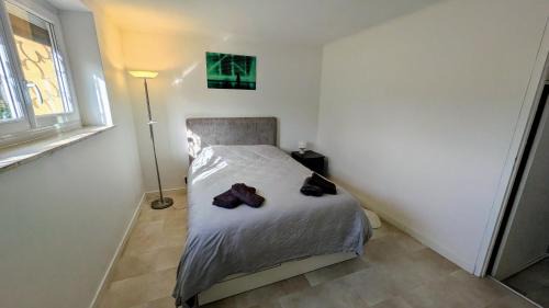 Amneville House | Votre deux pièces à Amnéville