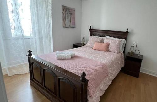 Sao Pedro do Sul Apartment | Vouga Lodge