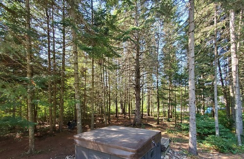 Saint Donat Cabin | Vrbo Property