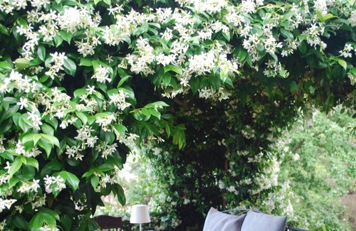 Borgonovo Bed & Breakfast | Vrbo Property