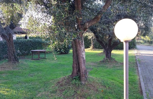 Cinquale Apartment | Vrbo Property