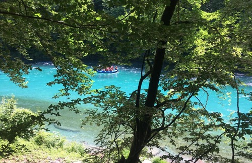 Bastasi Other | Vucja Gora