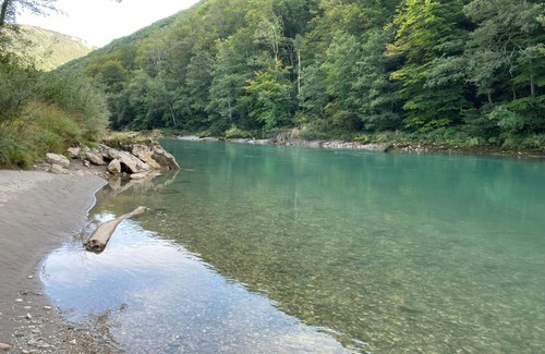Bastasi Other | Vucja Gora