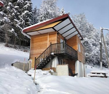 Bois-d'Amont Ski Chalet | Vue imprenable , lac des Rousses 2 km