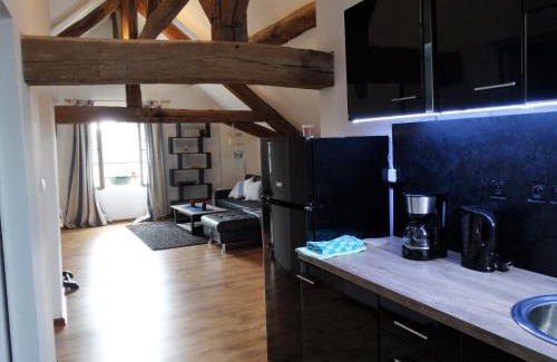 Saumur Apartment | Vue splendide sur Chateau