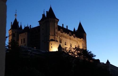 Saumur Apartment | Vue splendide sur Chateau