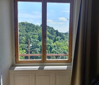 Thiers Apartment | Vue Volcans Studio de Charme Thiers Centre