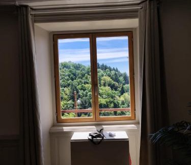 Thiers Apartment | Vue Volcans Studio de Charme Thiers Centre