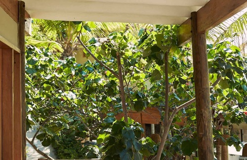 Las Pocitas House | w*| Exceptional 1BR w/Pool in Máncora