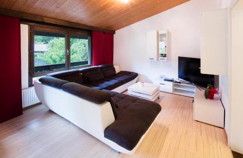Hallstatt Apartment | W & S Executive Apartments - Hallstatt I